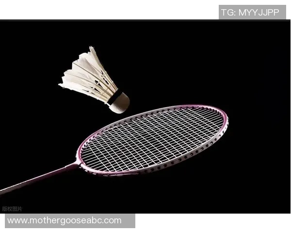 重庆羽毛球队防守策略揭秘深入分析羽毛球技术与战术的完美结合